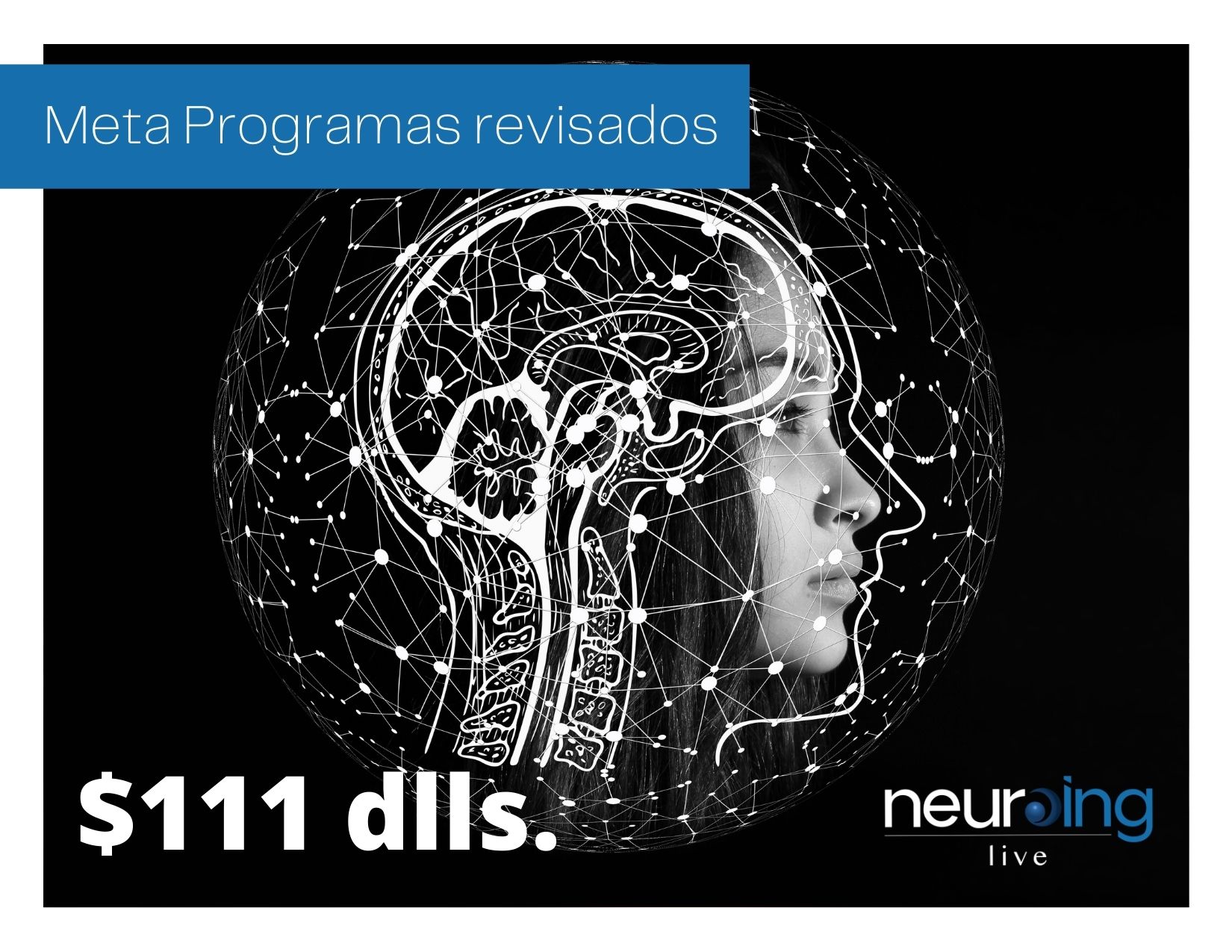 Meta Programas Revisados